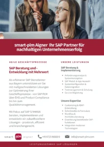 SAP-Beratung-Flyer