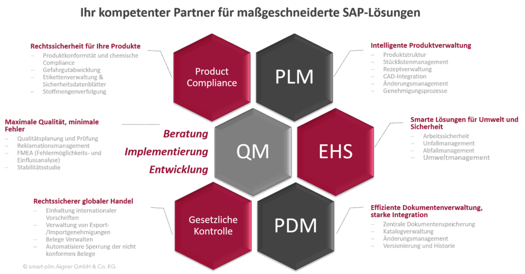 SAP-PLM-Beratung