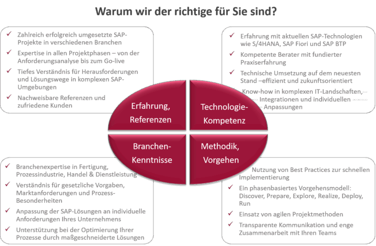 SAP-PLM-Beratung